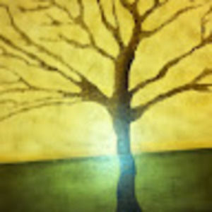 Meet your Posher, Aurora